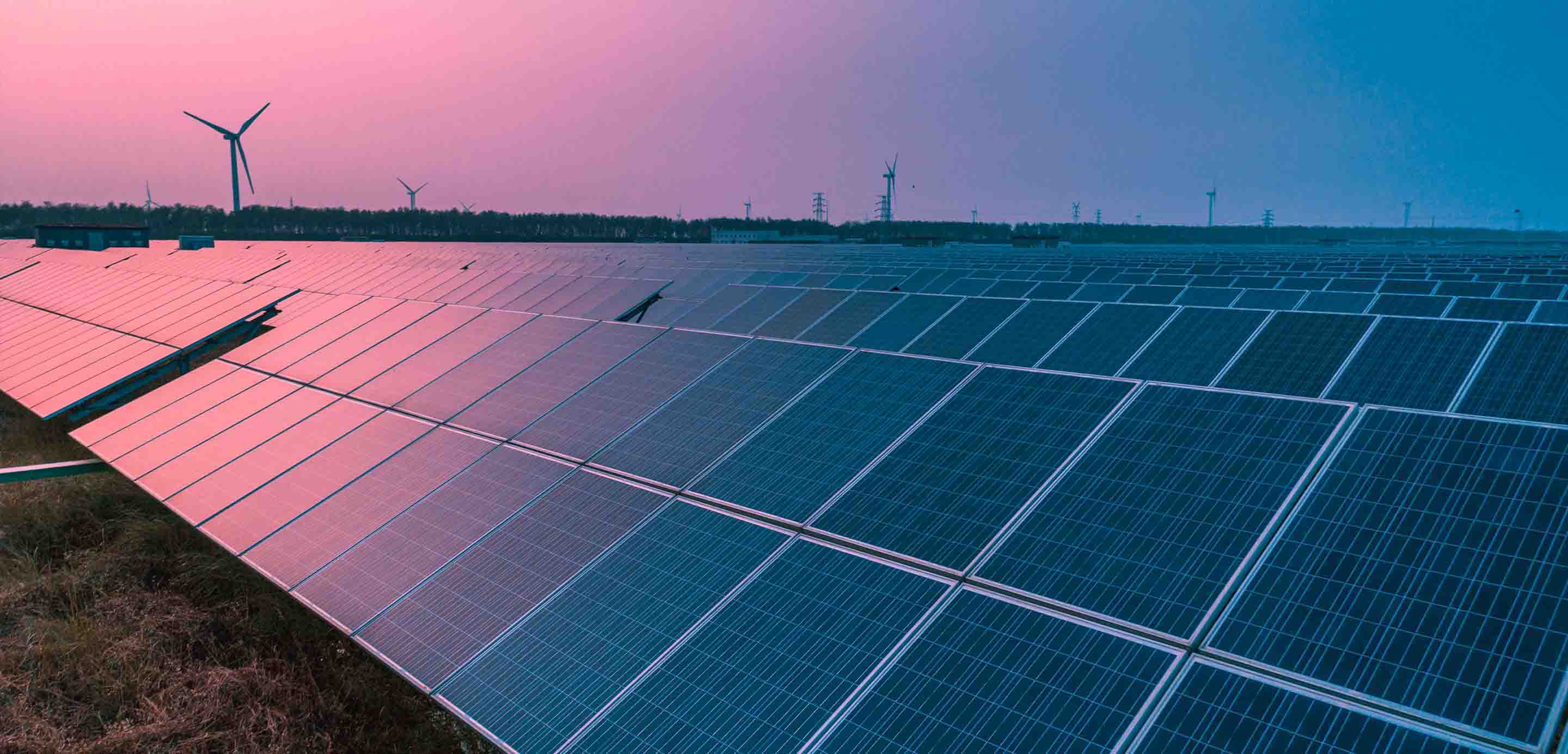 hsbc sustainability bank-tile hsbc sustainability bank-tile